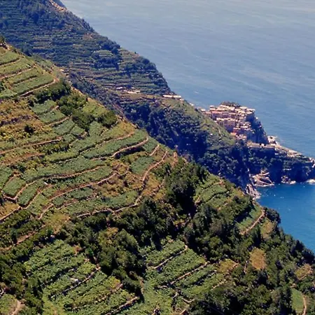 Relax A Pochi Passi Dal Mare Διαμέρισμα Arcola